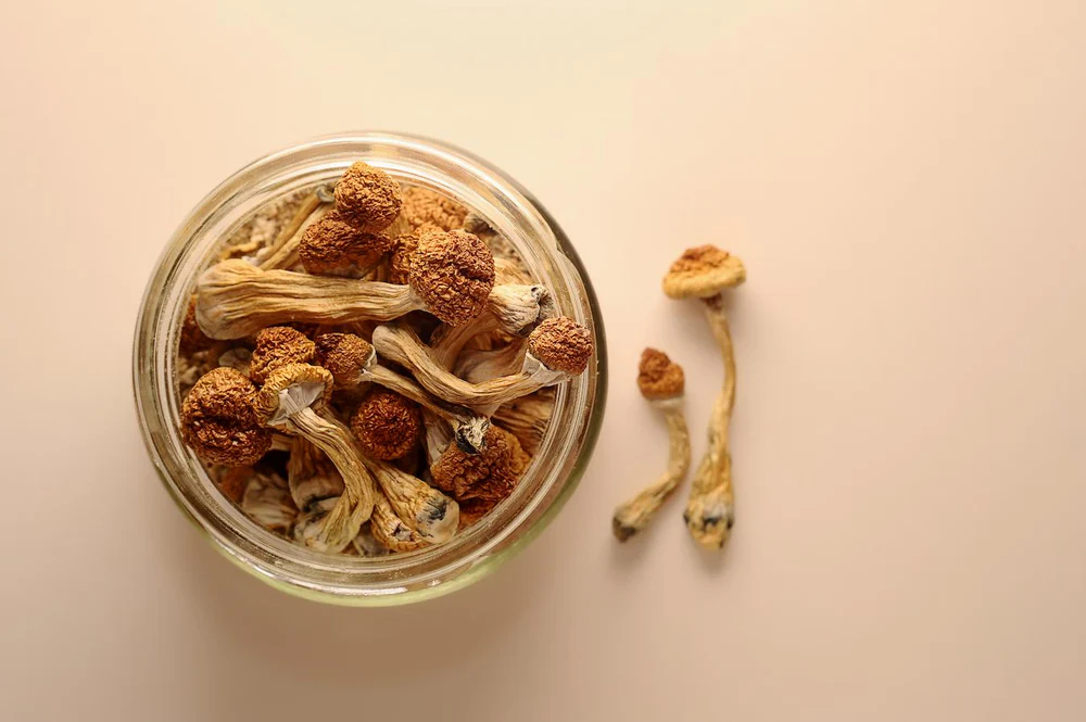 Maximizing Freshness: Insights into Mushroom Shelf Life