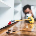 Nuisance or Threat Understanding the Role of Pest Control