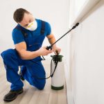 Sydney's Comprehensive Pest Control Strategies